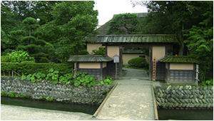 エボシスキー場